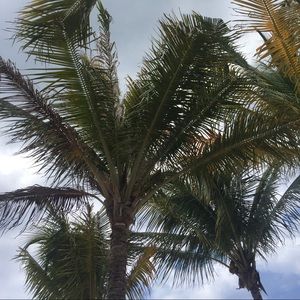 Meet your Posher, Nichole